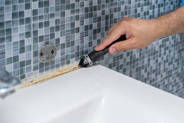 Best Mold Damage Repair  in Bellerose, NY